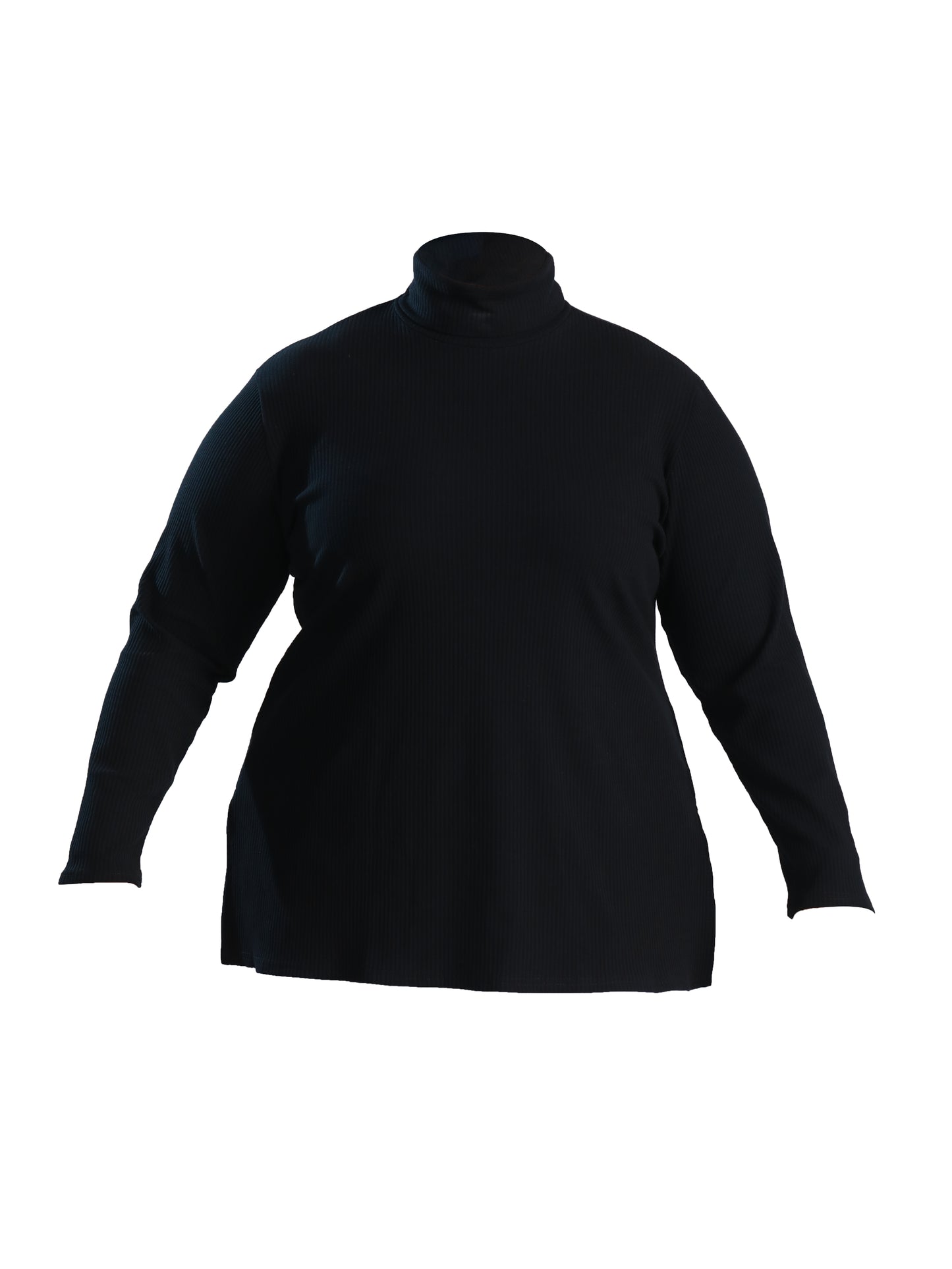 Plus Size Turtleneck in Black